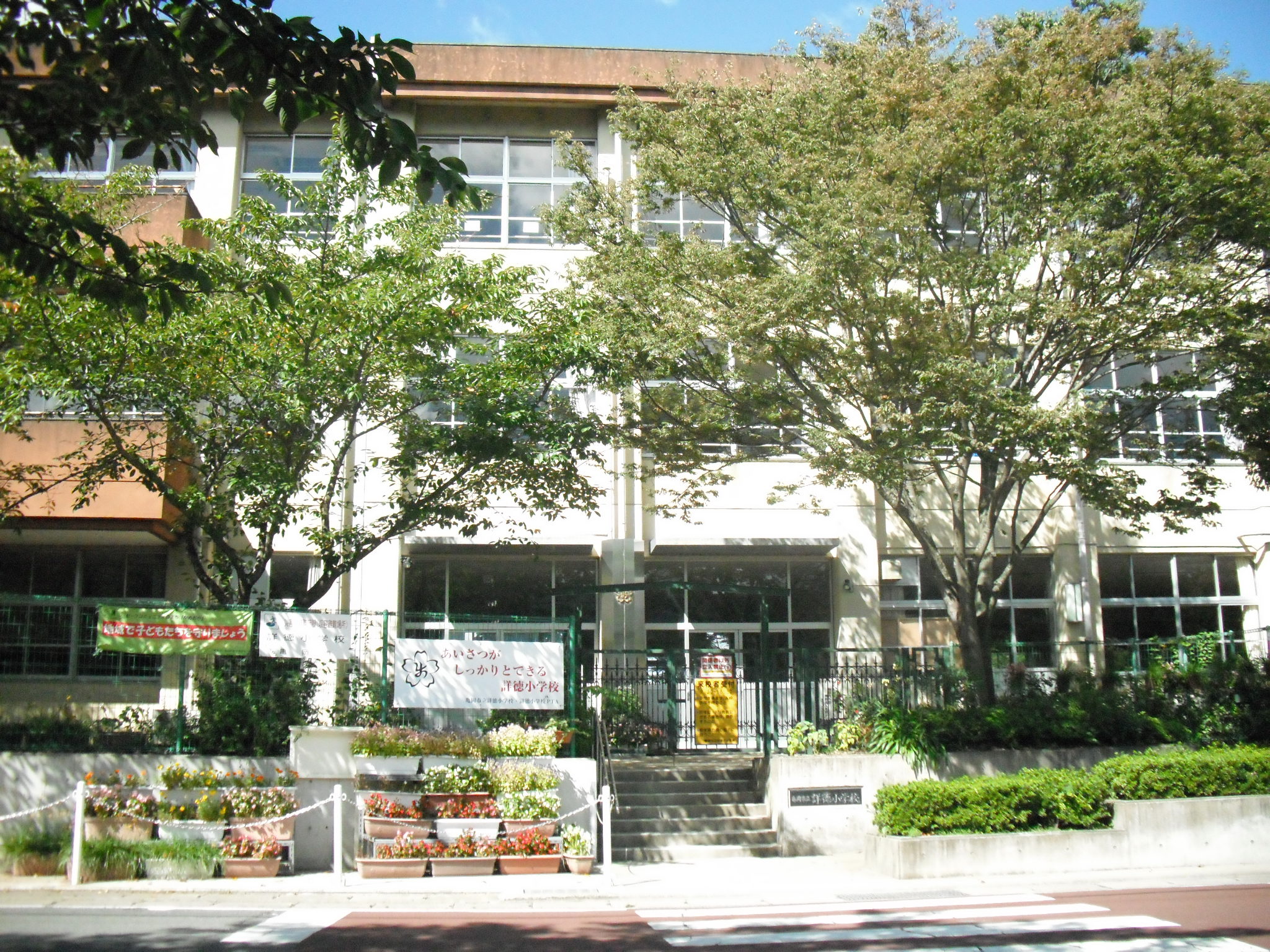 小学校　亀岡市立詳徳小学校（小学校）まで727m