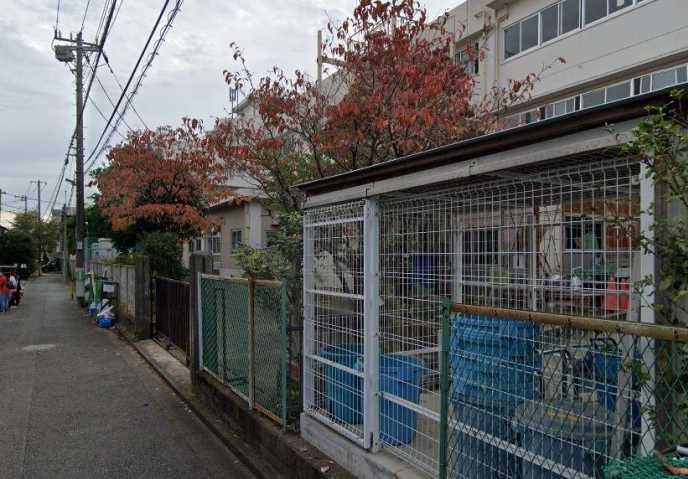 小学校　川崎市立木月小学校（小学校）まで798m
