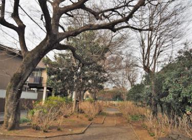 公園　本村西公園（公園）まで414m