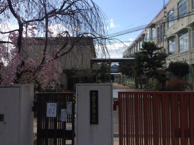 小学校　京都市立西大路小学校（小学校）まで270m