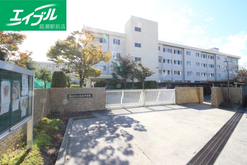 中学校　岡山市立芳泉中学校（中学校）まで367m