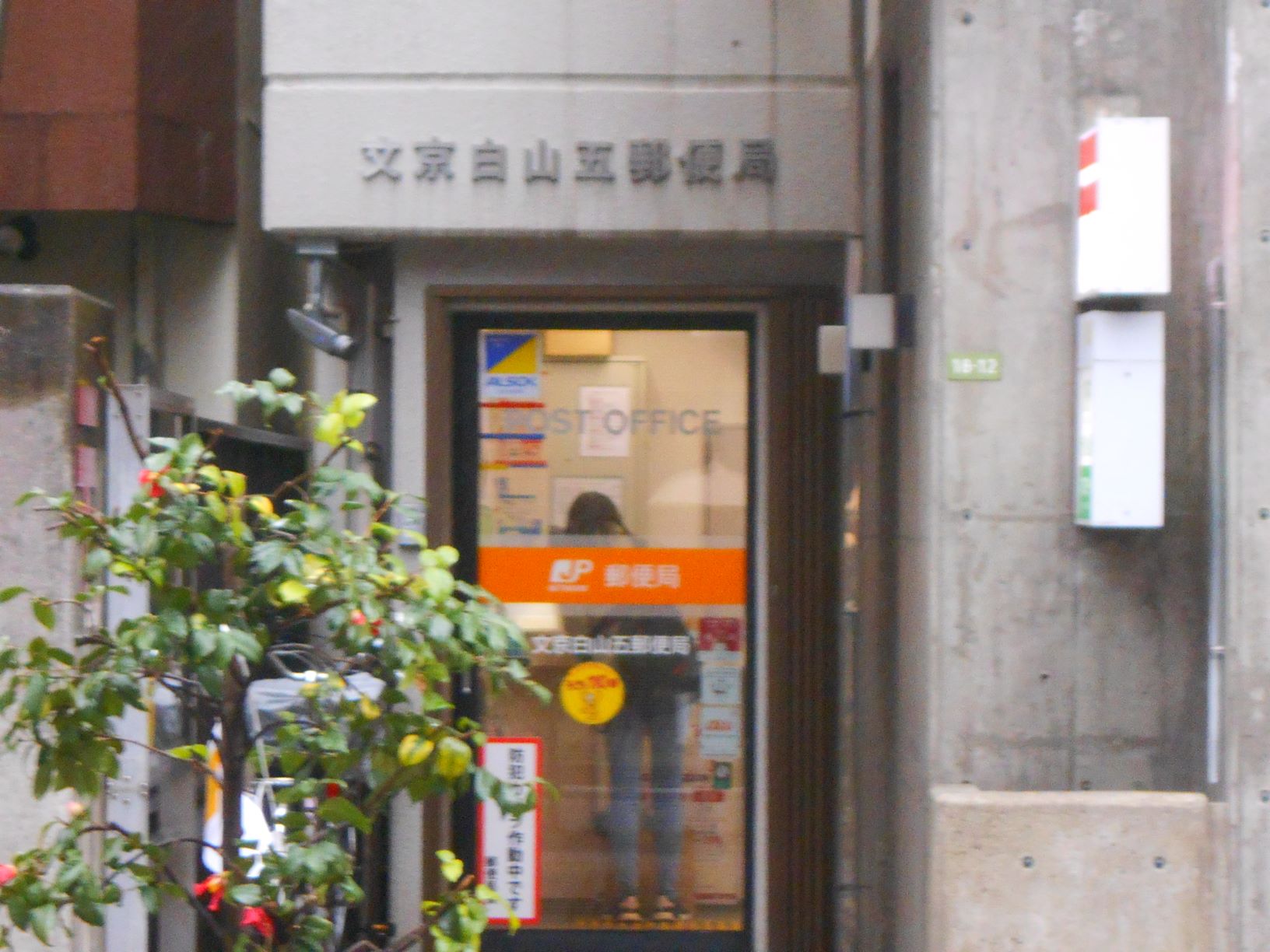 郵便局　文京白山五郵便局（郵便局）まで116m