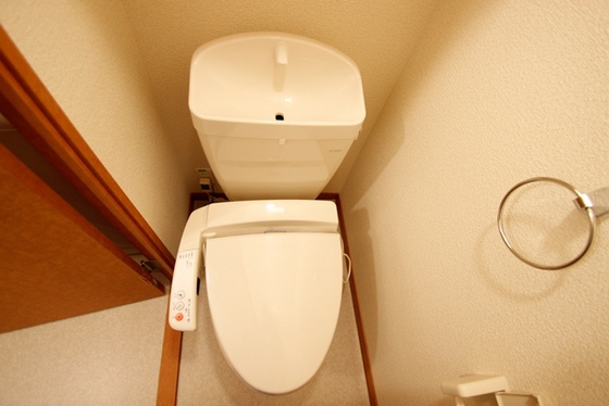 トイレ　※別号室の写真です