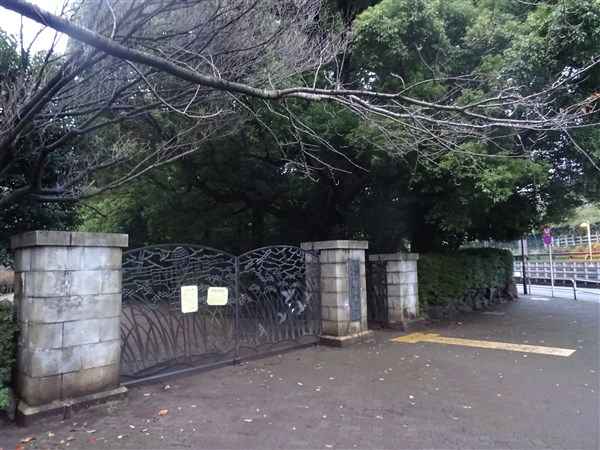 公園　駒場野公園（公園）まで595m