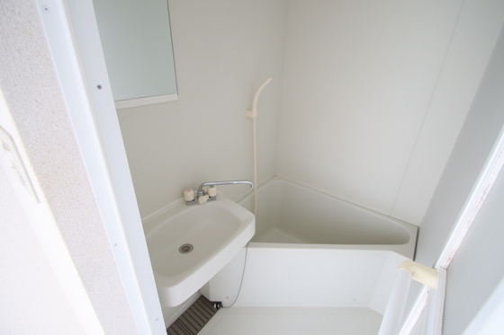 バス・シャワールーム　※他号室の写真です