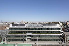 役所　世田谷区玉川総合支所（役所）まで1064m