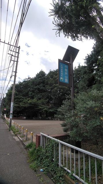 公園　小金井公園（公園）まで90m