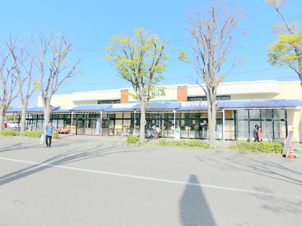 スーパー　デリシア若里店（スーパー）まで800m