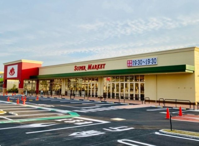 スーパー　スーパーアルプス大和田店（スーパー）まで737m