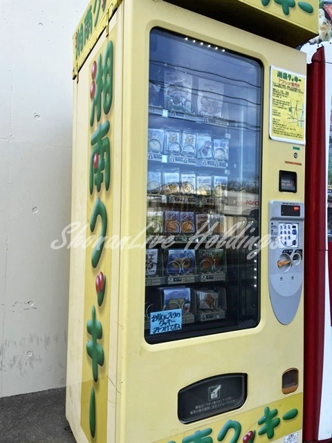 その他　湘南クッキー（その他）まで3129m