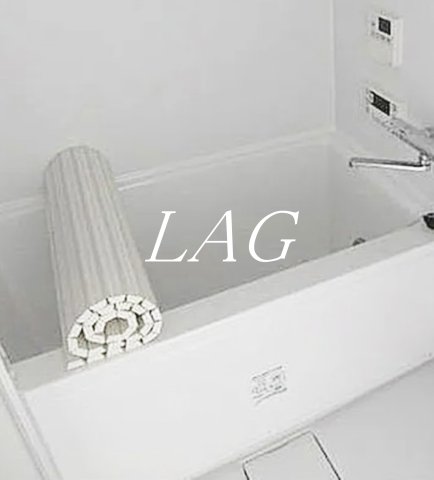 バス・シャワールーム　お風呂です。