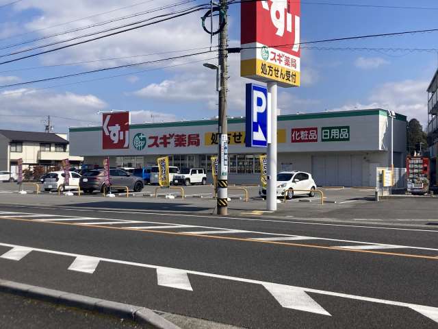 ドラックストア　スギ薬局岐阜正木店（ドラッグストア）まで337m