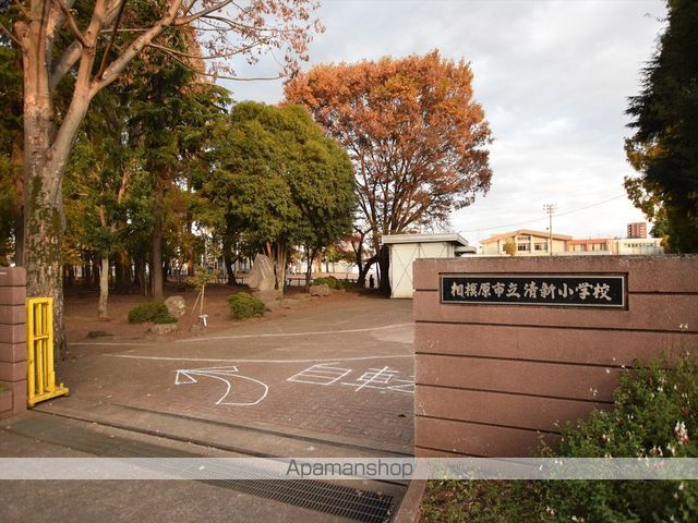 小学校　相模原市立清新小学校（小学校）まで301m