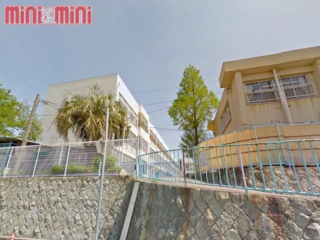 小学校　神戸市立千鳥が丘小学校（小学校）まで730m