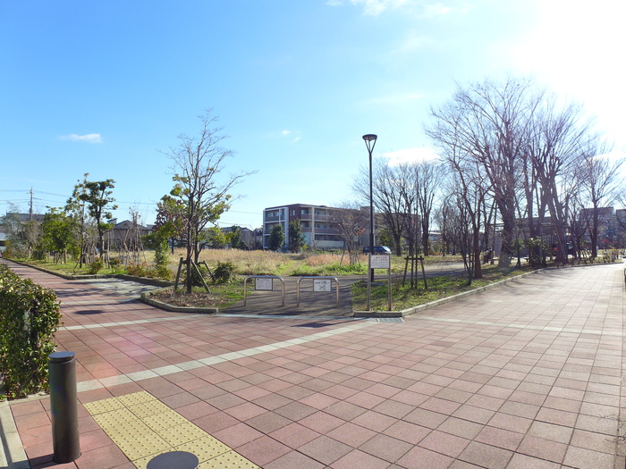 公園　かしわ公園（公園）まで10m