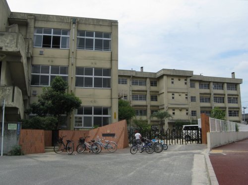 小学校　三原市立南小学校（小学校）まで739m
