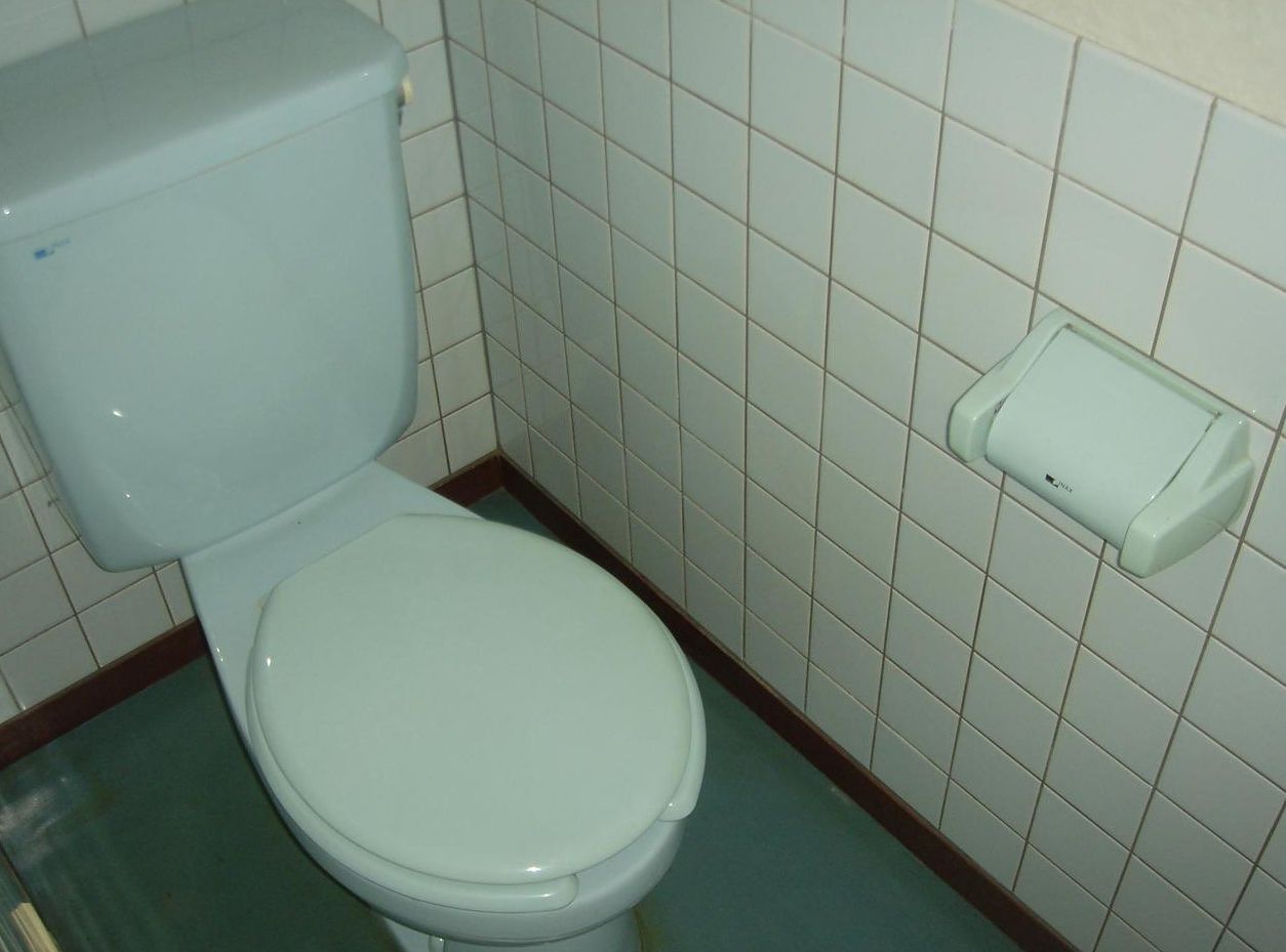 ＪＲ京浜東北線 南浦和駅 徒歩7分 7階建 築39年のトイレ写真