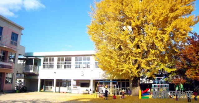 幼稚園・保育園　聖使幼稚園（幼稚園・保育園）まで200m
