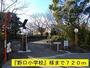 小学校　野口小学校（小学校）まで720m