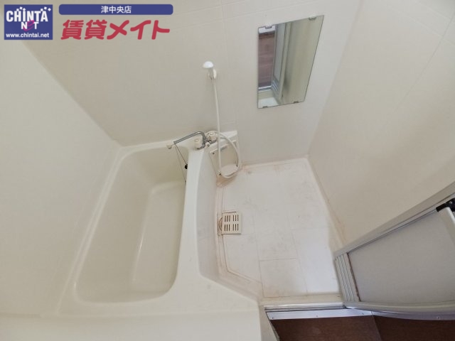 バス・シャワールーム　同じ物件、別部屋の写真です