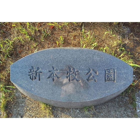 公園　新本牧公園（公園）まで952m