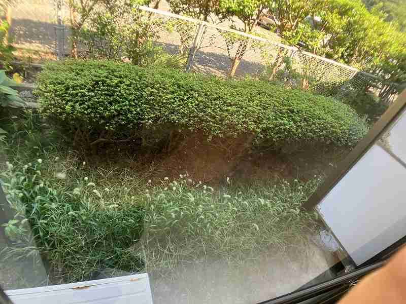 バルコニー　別室参考画像です