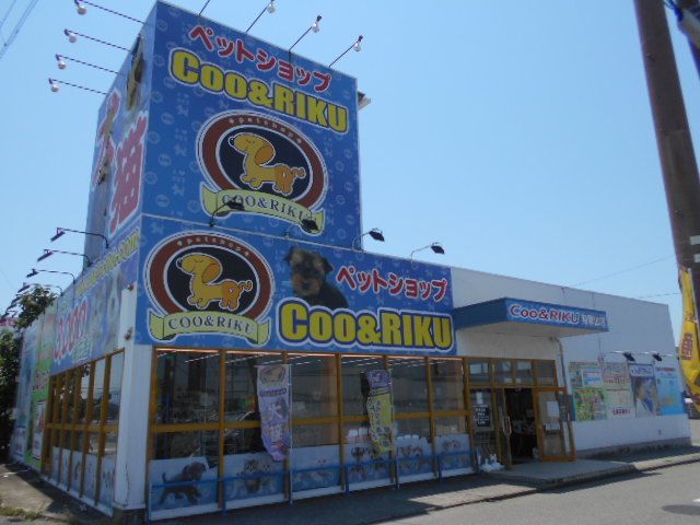 その他　ペットショップＣＯＯ＆ＲＩＫＵ（その他）まで3000m