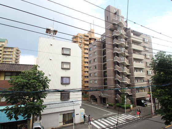 眺望　※別部屋の写真です
