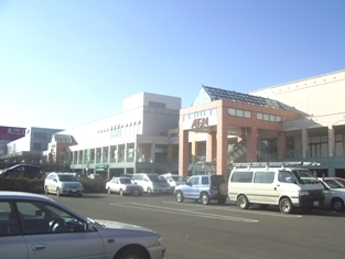 スーパー　イオン札幌平岡店（スーパー）まで1251m