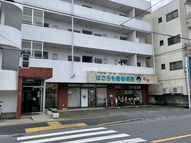 病院　はごろも動物病院（病院）まで276m