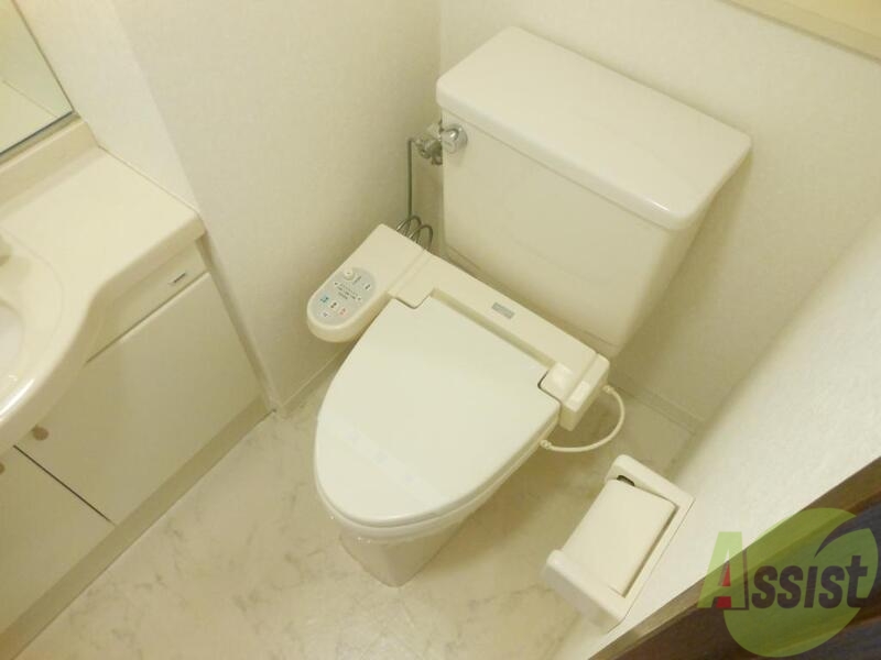 トイレ　こんなトイレ見たことない