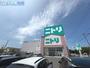 ホームセンター　ニトリ新潟小新店（ホームセンター）まで842m
