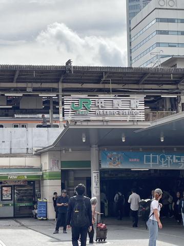 その他　中野駅　北口（その他）まで172m