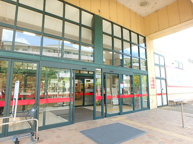 スーパー　スーパーアルプス 塩田店（スーパー）まで532m