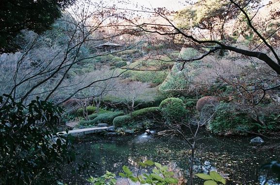 公園　池田山公園（公園）まで595m