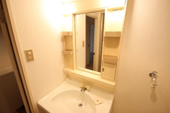 洗面設備　※別号室のお写真です。