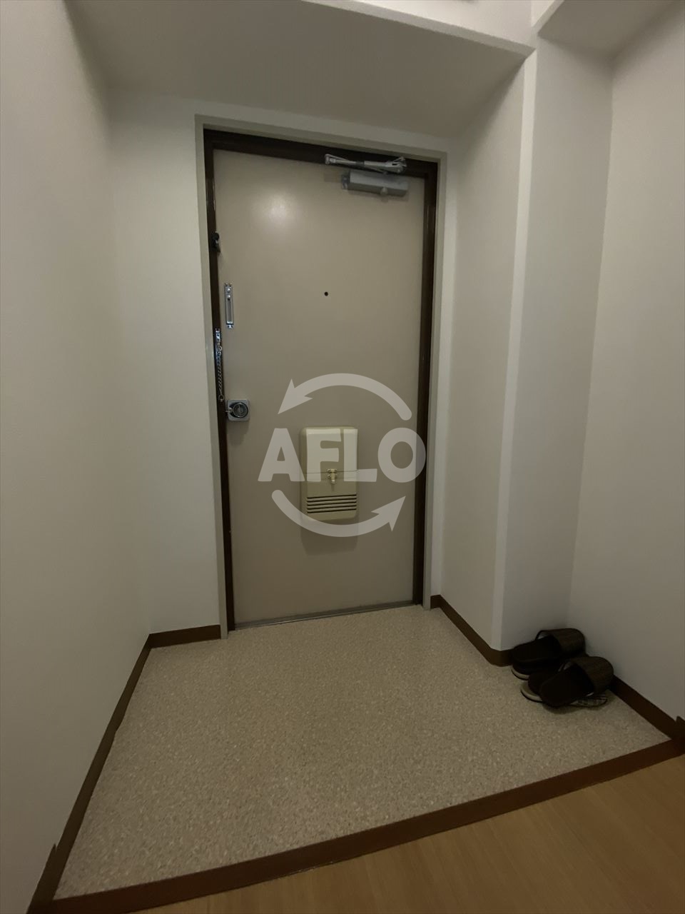 玄関　エクセルハイム川富　玄関