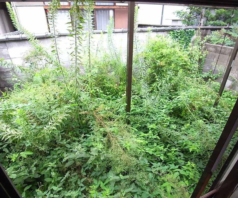 バルコニー　専用庭です。