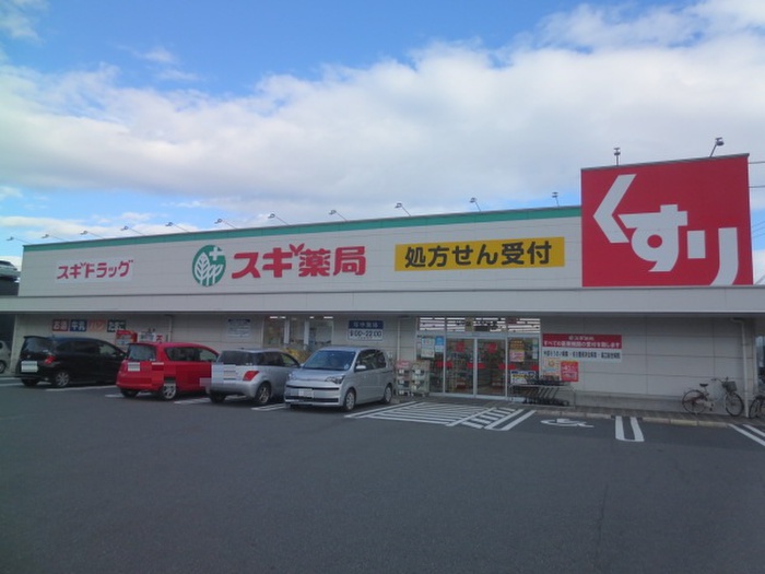 ドラックストア　スギ薬局油屋店（ドラッグストア）まで334m