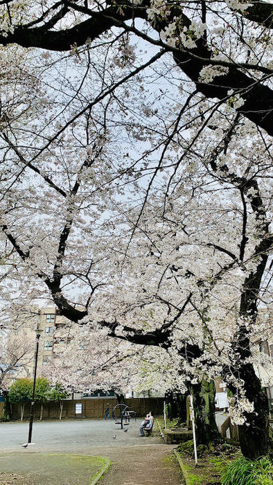 公園　浜松町公園（公園）まで180m