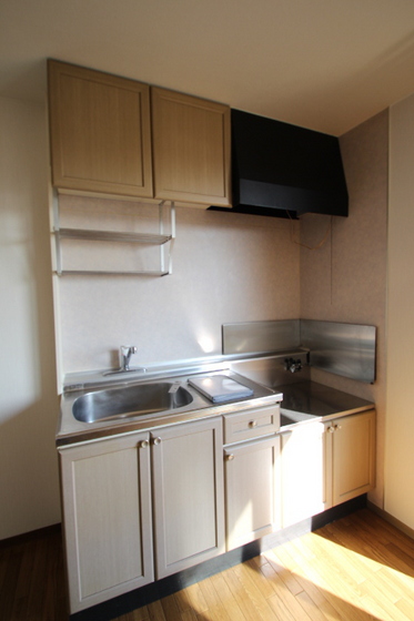 キッチン　※他号室の写真です。