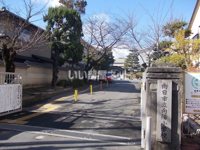 小学校　向日市立 向陽小学校（小学校）まで1347m