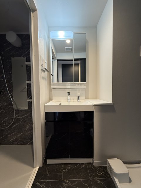 洗面設備　同物件別号室のものです。