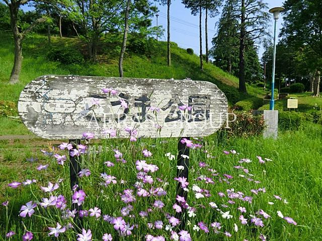 公園　南つくし野こうま公園（公園）まで842m