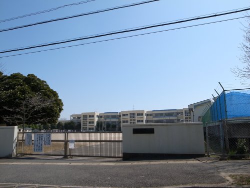 小学校　市原市立国分寺台東小学校（小学校）まで687m
