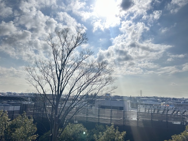 眺望　※前回募集時の写真です