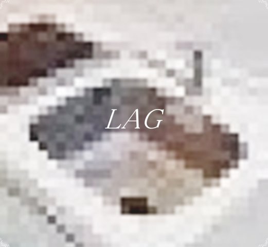 その他部屋・スペース　シンクです。