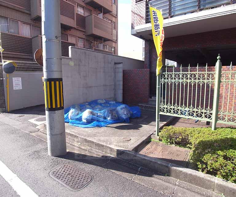 その他　敷地内のゴミ置き場。ネットできれいに片付けられています。