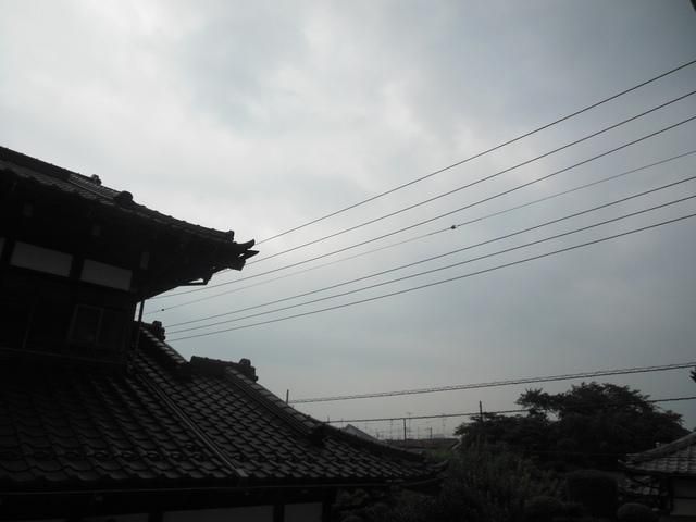 眺望　★景色です★