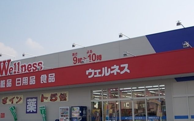 ドラックストア　ウェルネス淀江店（ドラッグストア）まで220m